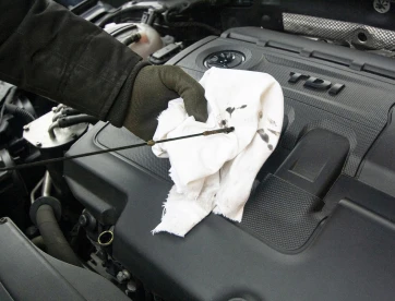 Ford Servicing Image